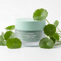 Maschera Antiage